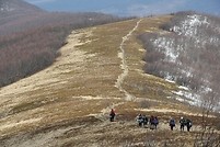 Ćwiczenia terenowe Bieszczady-Otryt-Połonina Wetlińska-Mała Rawka-kwiecien 2011