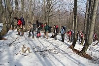 Ćwiczenia terenowe Bieszczady-Otryt-Połonina Wetlińska-Mała Rawka-kwiecien 2011