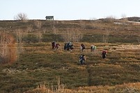 Ćwiczenia terenowe Bieszczady-Otryt-Połonina Wetlińska-Mała Rawka-kwiecien 2011